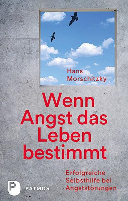 Wenn Angst das Leben bestimmt, Hans Morschitzky - Paperback - 9783843611893