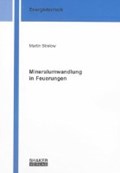 Mineralumwandlung in Feuerungen | Martin Strelow | 