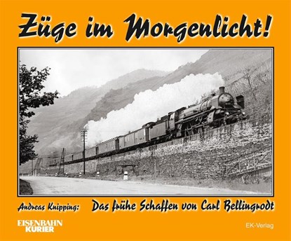 Züge im Morgenlicht, Andreas Knipping - Gebonden - 9783844662337