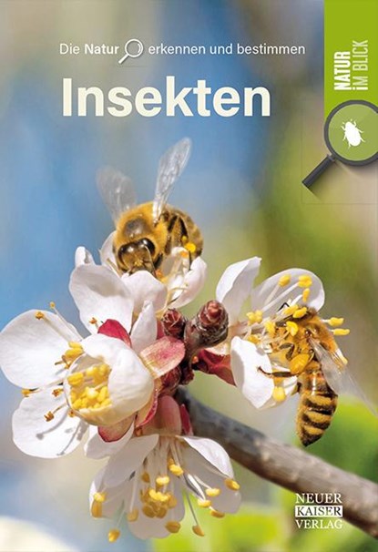 Insekten, niet bekend - Paperback - 9783846805053
