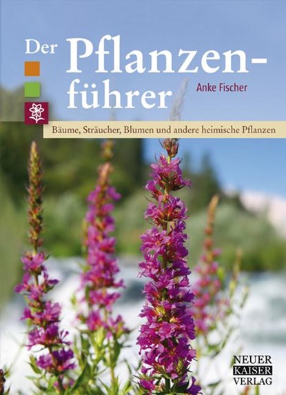Der Pflanzenführer, Anke Fischer - Paperback - 9783846810316