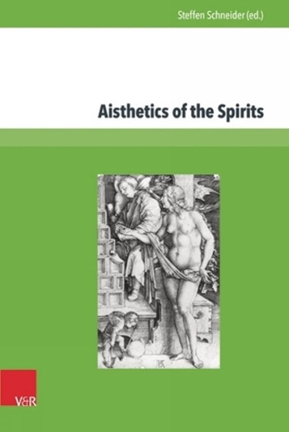 Aisthetics of the Spirits, Steffen Schneider - Gebonden - 9783847104230