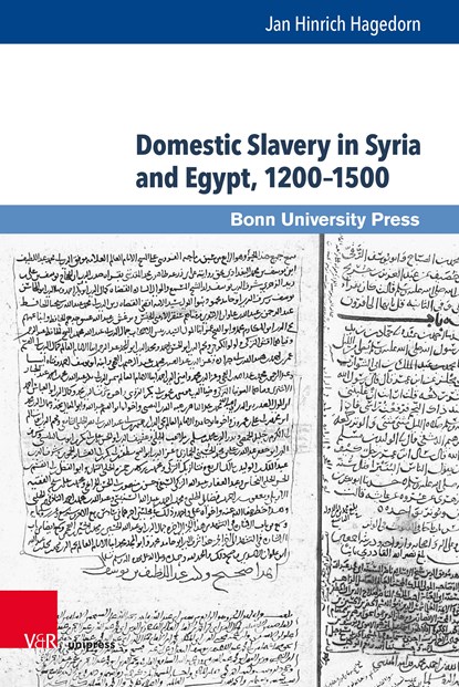 Domestic Slavery in Syria and Egypt, 12001500, Jan Hinrich Hagedorn - Gebonden - 9783847110910
