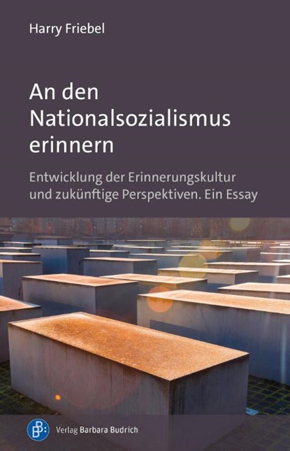 An den Nationalsozialismus erinnern, Harry Friebel - Paperback - 9783847427391
