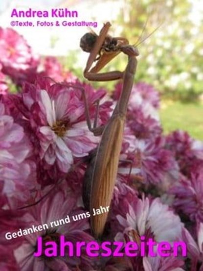 Jahreszeiten, Andrea Kühn - Ebook - 9783847678830