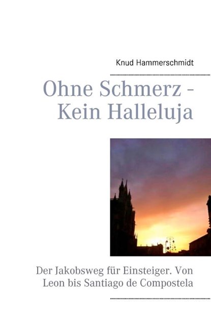 Ohne Schmerz - Kein Halleluja, Knud Hammerschmidt - Paperback - 9783848213863