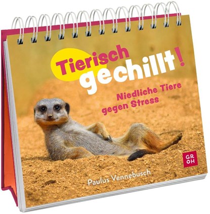 Tierisch gechillt!, Paulus Vennebusch - Paperback - 9783848502813