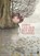 Boris und der Ruf des Wassers, Davide Calì - Gebonden - 9783849702076