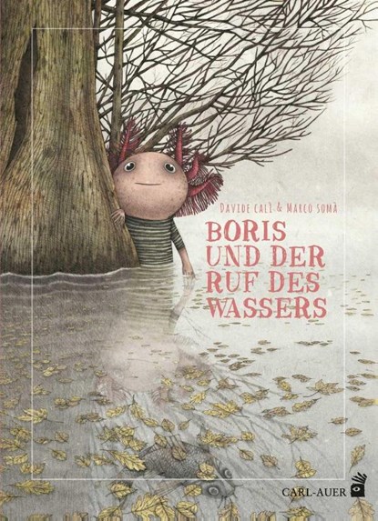 Boris und der Ruf des Wassers, Davide Calì - Gebonden - 9783849702076