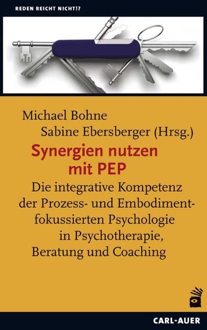 Synergien nutzen mit PEP, Michael Bohne ; Sabine Ebersberger - Paperback - 9783849703059