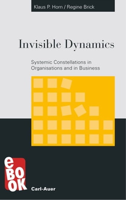 Invisible Dynamics, Klaus P Horn ; Regine Brick - Ebook - 9783849781699