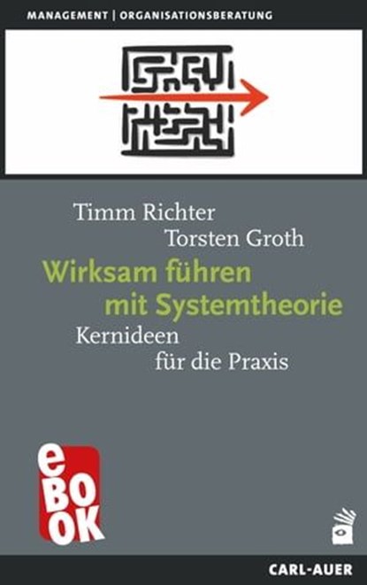 Wirksam führen mit Systemtheorie, Timm Richter ; Torsten Groth - Ebook - 9783849784669