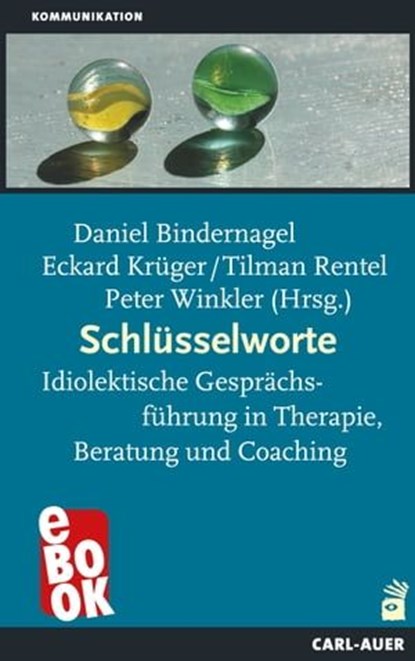 Schlüsselworte, Daniel Bindernagel ; Hans H Ehrat ; David Jonas ; Eckard Krüger ; Horst Poimann ; Klaus Renfordt ; Tilman Rentel ; Andreas Speth ; Peter Winkler - Ebook - 9783849784713