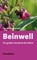 Beinwell, Hans Pechatschek - Paperback - 9783850682275