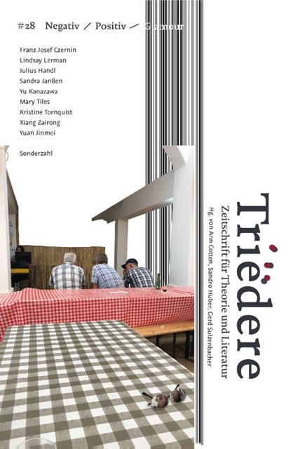 Triëdere #28: Negativ / Positiv / Glamour, Sandro Huber ; Gerd Sulzenbacher ; Ann Cotten - Paperback - 9783854496717
