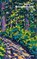 Vollmondhonig, Peter Weingartner - Paperback - 9783859904613