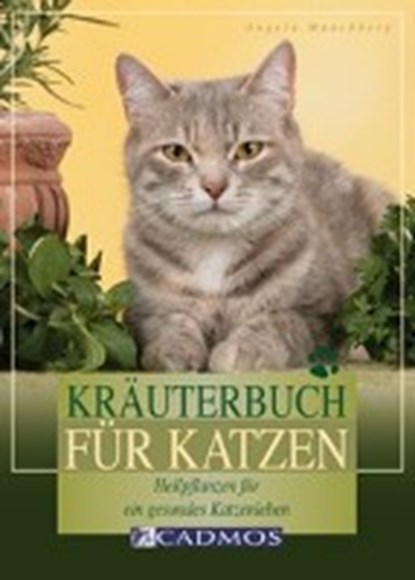 Kräuterbuch für Katzen, MÜNCHBERG,  Angela - Paperback - 9783861271260