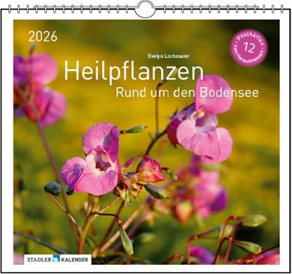 Heilpfanzen rund um den Bodensee 2026, Evelyn Lochmaier - Paperback - 9783861925163