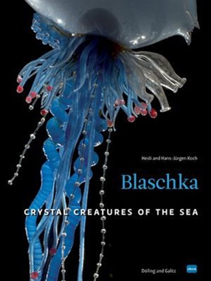 Blaschka (HD-Version), Heidi Koch ; Hans-Jürgen Koch - Ebook - 9783862180431
