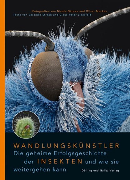 Wandlungskünstler. Die geheime Erfolgsgeschichte der Insekten und wie sie weitergehen kann, Veronika Straaß ; Claus-Peter Lieckfeld - Gebonden - 9783862181490