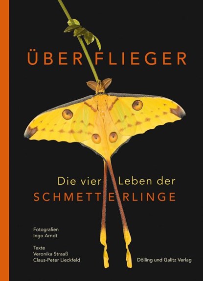 Überflieger. Die vier Leben der Schmetterlinge, Veronika Straaß ; Claus-Peter Lieckfeld - Gebonden - 9783862181506