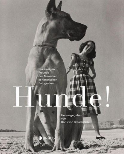 Hunde!, Boris von Brauchitsch - Paperback - 9783862282333