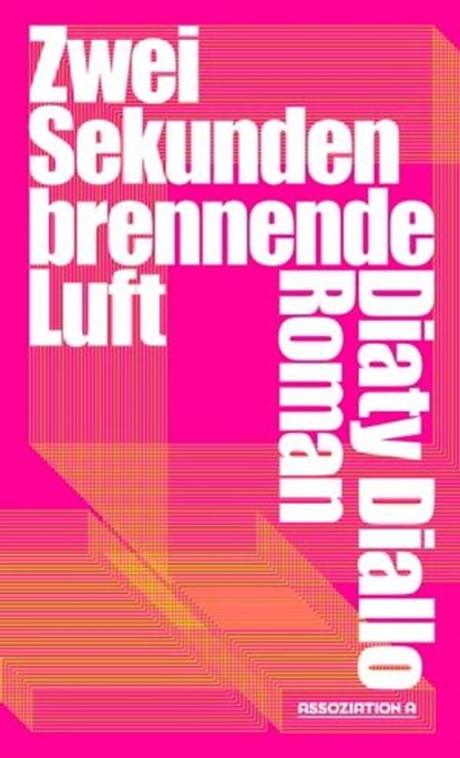 Zwei Sekunden brennende Luft, Diaty Diallo - Ebook - 9783862416417