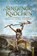 Singende Knochen, Andrea Storm - Paperback - 9783862829064