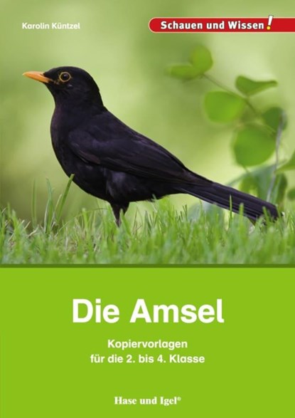 Die Amsel - Kopiervorlagen für die 2. bis 4. Klasse, Karolin Küntzel - Paperback - 9783863163556