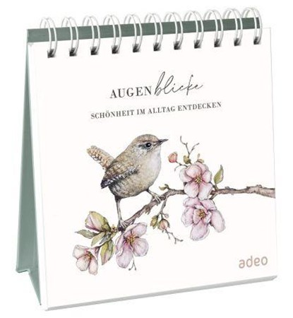 AugenBlicke - Aufstellbuch, niet bekend - Paperback - 9783863343637
