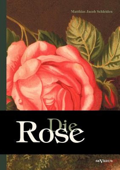 Die Rose, Matthias Jacob Schleiden - Paperback - 9783863472818