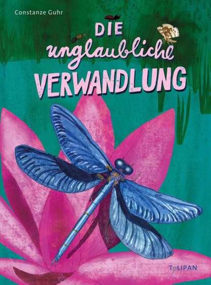 Die unglaubliche Verwandlung, Constanze Guhr - Gebonden - 9783864295379