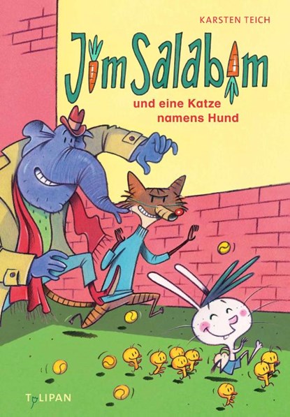 Jim Salabim und eine Katze namens Hund, Karsten Teich - Gebonden - 9783864296789