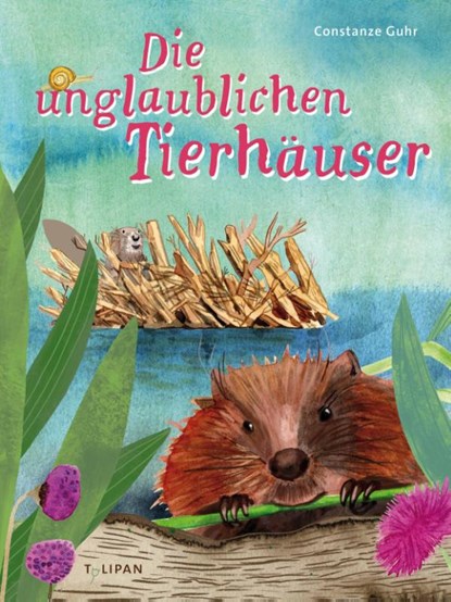 Die unglaublichen Tierhäuser, Constanze Guhr - Gebonden - 9783864296901