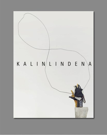 Kalin Lindena, Fabian Goppelsröder - Paperback - 9783864424564