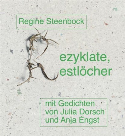 Rezyklate, Restlöcher, Regine Steenbock - Paperback - 9783864853531