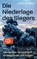 Die Niederlage des Siegers, Jacques Baud - Paperback - 9783864894688