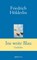 Ins weite Blau, Friedrich Hölderlin - Gebonden - 9783865393722
