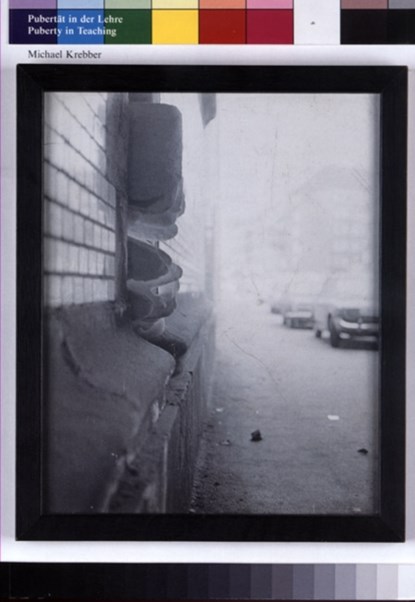 Michael Krebber, Stefan Hoderlein ; John Kelsey ; Tanja Widmann - Gebonden - 9783865604873