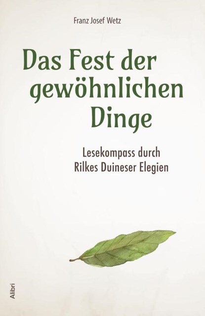 Das Fest der gewöhnlichen Dinge, Franz Josef Wetz - Paperback - 9783865693501