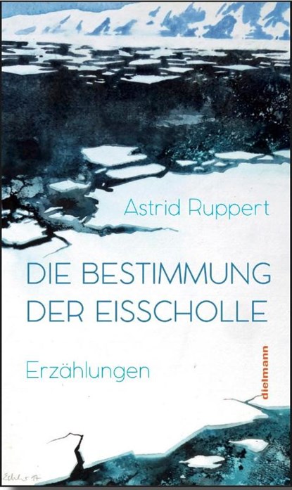 Die Bestimmung der Eisscholle, Astrid Ruppert - Gebonden - 9783866382497