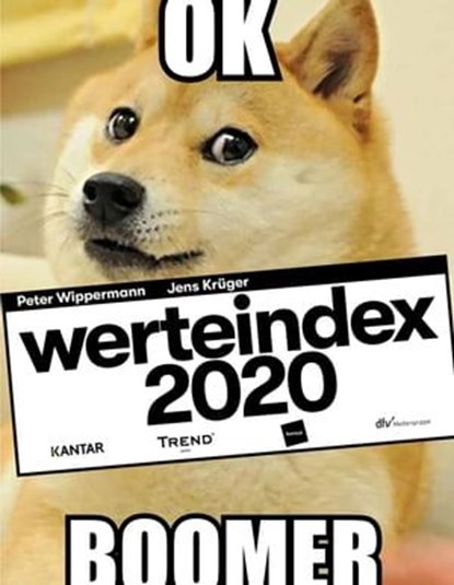 Werte-Index 2020, niet bekend - Ebook - 9783866415096