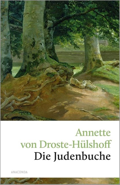 Die Judenbuche, Annette von Droste-Hülshoff - Gebonden - 9783866470507