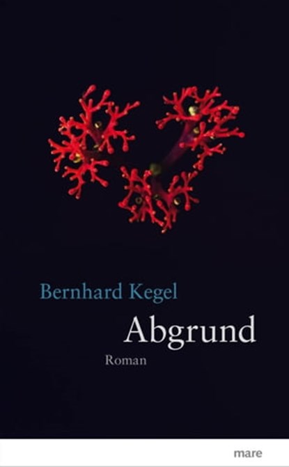 Abgrund, Bernhard Kegel - Ebook - 9783866483309