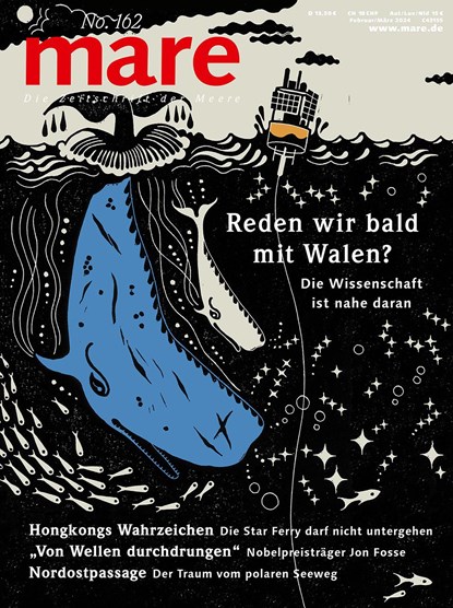 mare - Die Zeitschrift der Meere / No. 162 / Reden wir bald mit den Walen?, Nikolaus Gelpke - Paperback - 9783866484511