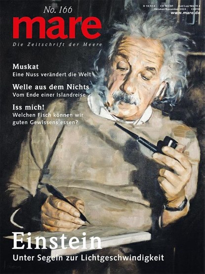 mare - Die Zeitschrift der Meere / No. 166 / Einstein, Nikolaus Gelpke - Paperback - 9783866484559