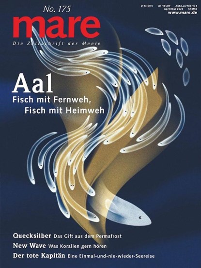 mare - Die Zeitschrift der Meere / No. 175, niet bekend - Paperback - 9783866484641
