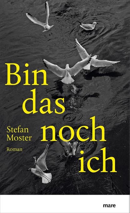Bin das noch ich, Stefan Moster - Gebonden - 9783866487123
