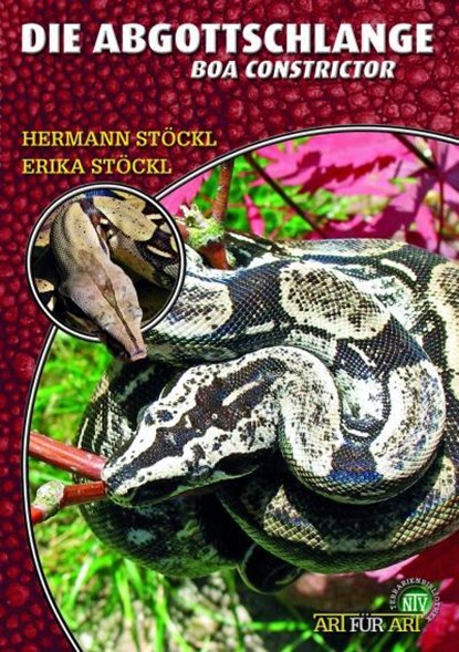 Die Abgottschlange - Boa Constrictor, Hermann Stöckl ; Erika Stöckl - Paperback - 9783866590793