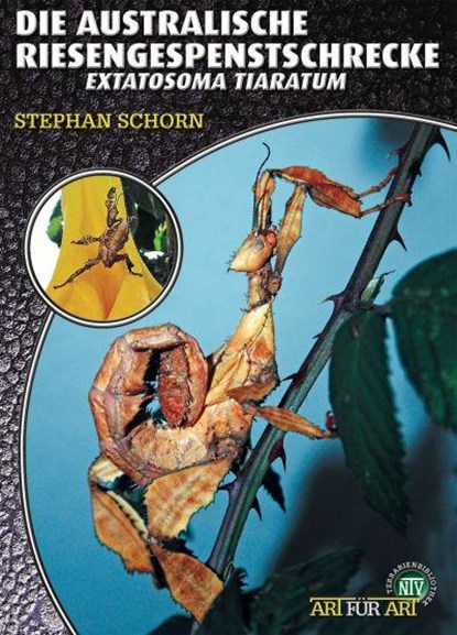 Die Australische Riesengespenstschrecke, Stephan Schorn - Paperback - 9783866591233